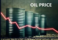 قیمت جهانی نفت امروز ۱۴۰۳/۰۲/۱۷